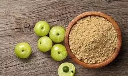 कच्चा, पाउडर या सूखा आंवला जानें, सेहत के लिए कौन सा बेहतर? कच्चा, पाउडर या सूखा आंवला जानें, सेहत के लिए कौन सा बेहतर?