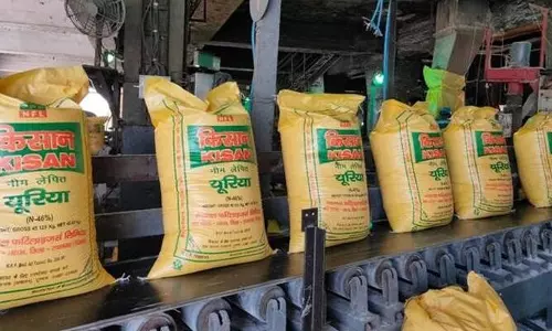 Banda: समितियों में खाद का अभाव, लक्ष्य पूरा करना मुश्किल