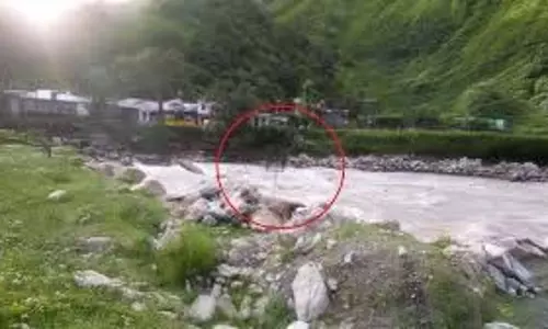 झूला पुल से गिरकर बच्ची की मौत, कुल्लू में दुखद घटना