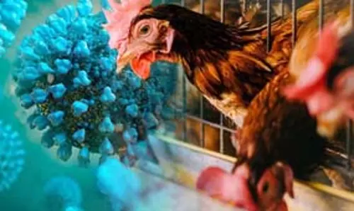 पुरी में H5N1 एवियन इन्फ्लूएंजा, 6,700 से अधिक पक्षी मारे गए