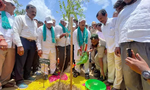Telangana: वन महोत्सव में राज्यव्यापी वृक्षारोपण के लिए शब्बीर Telangana: वन महोत्सव में राज्यव्यापी वृक्षारोपण के लिए शब्बीर