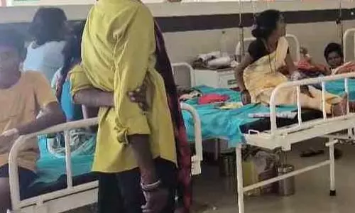 फुटू सब्जी खाने में बरते सावधानी, बालोद में एक परिवार में मची चीखपुकार