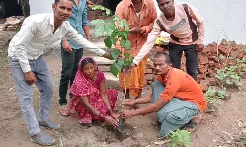 प्रधानमंत्री आवास योजना के 20 हजार हितग्राहियों ने किया वृक्षारोपण प्रधानमंत्री आवास योजना के 20 हजार हितग्राहियों ने किया वृक्षारोपण