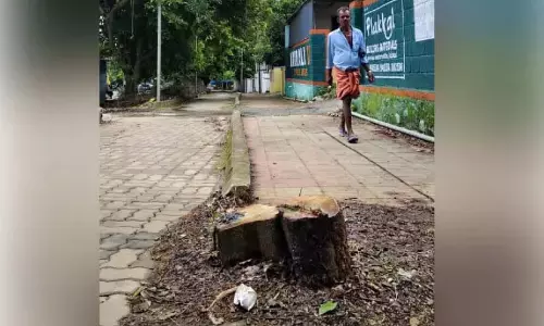 Kerala : लोक निर्माण विभाग ने निजी व्यक्ति की दीवार पर विज्ञापन देखने के लिए पेड़ काटा Kerala : लोक निर्माण विभाग ने निजी व्यक्ति की दीवार पर विज्ञापन देखने के लिए पेड़ काटा