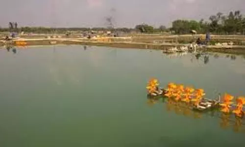 Churu जिले में पीएमजीएसवाई के तहत खारा पानी एक्वाकल्चर कलस्टर विकास के होंगे कार्य
