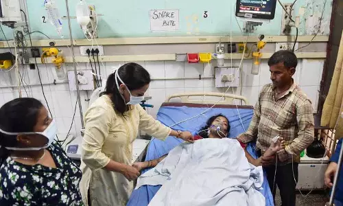 Jalandhar में मई से अब तक सर्पदंश के 109 मामले, एक की मौत Jalandhar में मई से अब तक सर्पदंश के 109 मामले, एक की मौत