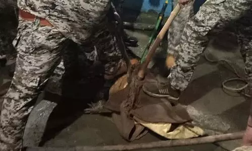 अशोकनगर के रिहायशी इलाके में घुसा 6 फीट लंबा मगरमच्छ, 2 घंटे के ऑपरेशन के बाद बचाया गया अशोकनगर के रिहायशी इलाके में घुसा 6 फीट लंबा मगरमच्छ, 2 घंटे के ऑपरेशन के बाद बचाया गया