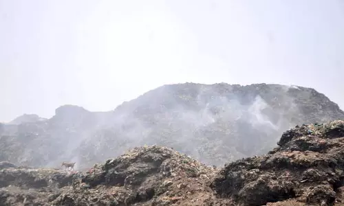 भगतांवाला से कूड़ा उठाना स्थाई समाधान नहीं: Aujla