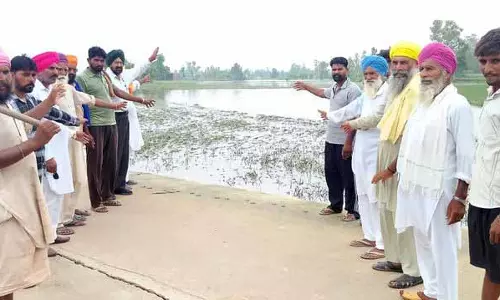 Amritsar: जलभराव से फसलें बर्बाद, किसानों ने नुकसान का आकलन और मुआवजे की मांग की Amritsar: जलभराव से फसलें बर्बाद, किसानों ने नुकसान का आकलन और मुआवजे की मांग की