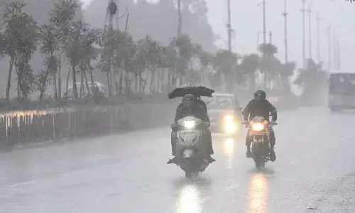 कम बारिश और अनिश्चित सिंचाई जल आपूर्ति के कारण Telangana में बुवाई का काम धीमा