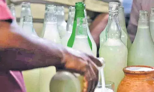 मिलावटी ताड़ी के गोरखधंधे में सिंडिकेट