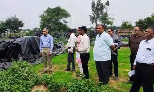 कलेक्टर ने किया सरदा धान संग्रहण केंद्र का निरीक्षण