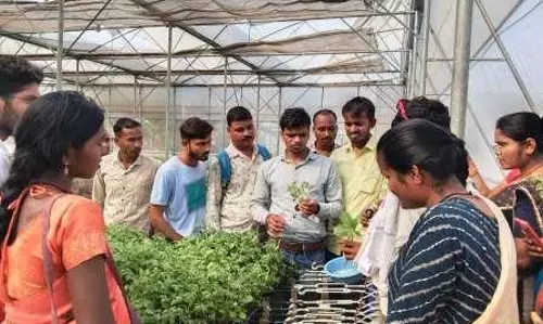 सफलता की कहानी: स्वच्छता से स्वावलंबन की ओर, ग्राम अण्डा बना प्रेरणादायक मॉडल