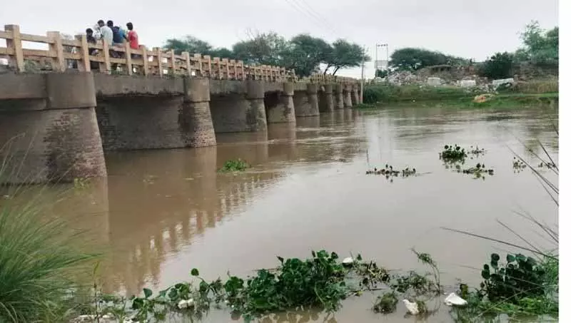 बारिश के बाद Fazilka के गांवों में दहशत बारिश के बाद Fazilka के गांवों में दहशत