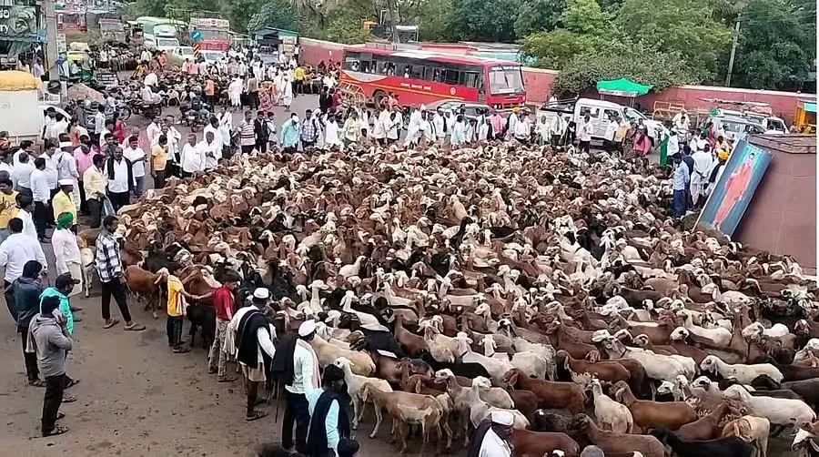 Karnataka : झोपड़ी चरवाहों से जमीन बचाने के लिए विरोध प्रदर्शन Karnataka : झोपड़ी चरवाहों से जमीन बचाने के लिए विरोध प्रदर्शन