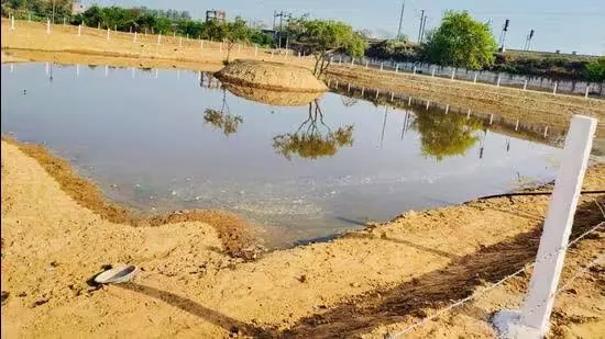 ‘ग्रीन लंग’ के रूप में लौटा ग्रेटर नोएडा वेस्ट का पुराना जल निकाय ‘ग्रीन लंग’ के रूप में लौटा ग्रेटर नोएडा वेस्ट का पुराना जल निकाय