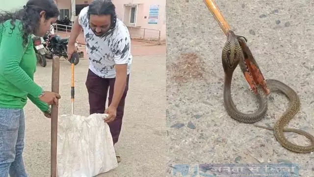 बारीपदा में एक व्यक्ति को कोबरा ने काटा, उसे अस्पताल लाया गया बारीपदा में एक व्यक्ति को कोबरा ने काटा, उसे अस्पताल लाया गया