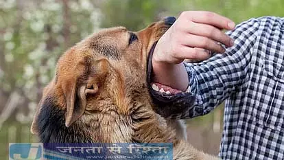 आवारा कुत्ते के काटने से बच्चे की मौत, रेबीज वैक्सीन भी न बचा सकी जान आवारा कुत्ते के काटने से बच्चे की मौत, रेबीज वैक्सीन भी न बचा सकी जान