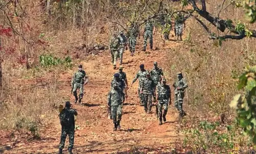 छत्तीसगढ़ में एक साल में 357 नक्सली ढेर छत्तीसगढ़ में एक साल में 357 नक्सली ढेर