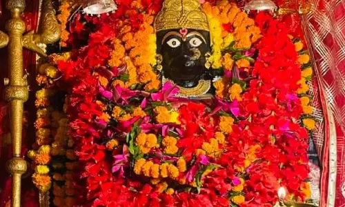 गर्लफ्रेंड से शादी के लिए मां दंतेश्वरी से युवक ने लगाई गुहार गर्लफ्रेंड से शादी के लिए मां दंतेश्वरी से युवक ने लगाई गुहार