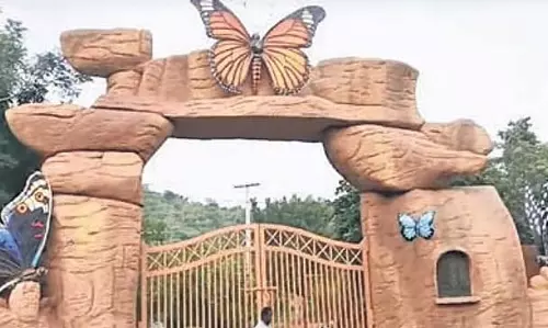 Andhra के मुलापाडु बटरफ्लाई पार्क में जंगल सफारी की सुविधा शुरू होगी