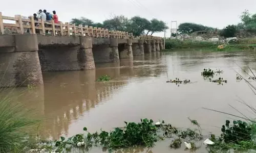 बारिश के बाद Fazilka के गांवों में दहशत