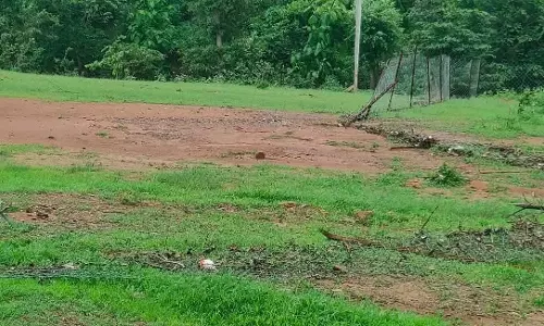 छतरपुर में मंत्रियों ने किया उद्घाटन, स्मृति वन सूखा; लापरवाही के कारण 500 पौधे मुरझा गए