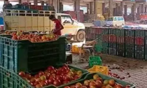 पूर्वानुमान से लेकर खेती तक, Himachal की कृषि-सलाहें उत्पादकों को सशक्त बनाती