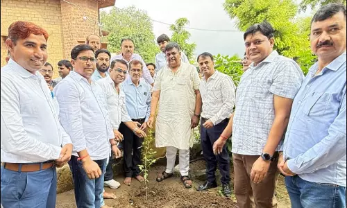 Jaipur: आमजन अधिकाधिक पौधारोपण कर हरियालो राजस्थान अभियान में निभाए भागीदारी