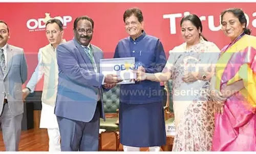 Andhra: बोब्बिली वीणा के लिए कलेक्टर को मिला ODOP पुरस्कार