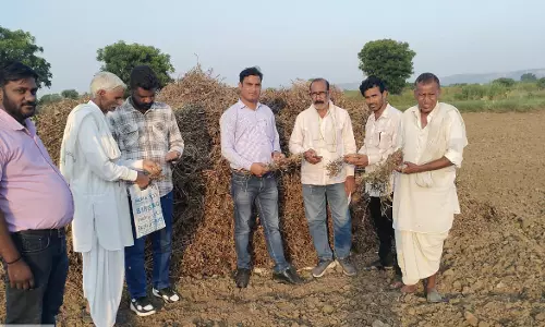 Madhopur: फसल क्षति पर किसानों को मिलेगा मुआवजा, 22.85 करोड़ जारी करने की प्रक्रिया शुरू Madhopur: फसल क्षति पर किसानों को मिलेगा मुआवजा, 22.85 करोड़ जारी करने की प्रक्रिया शुरू