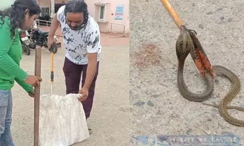 बारीपदा में एक व्यक्ति को कोबरा ने काटा, उसे अस्पताल लाया गया