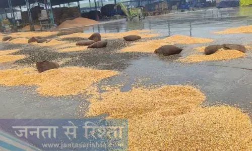 Tarn Taran में बारिश से जनजीवन अस्त-व्यस्त
