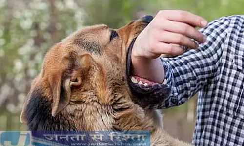 आवारा कुत्ते के काटने से बच्चे की मौत, रेबीज वैक्सीन भी न बचा सकी जान