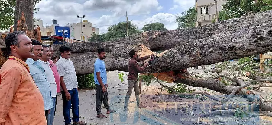 Karnataka : एक विशाल पेड़ गिर गया Karnataka : एक विशाल पेड़ गिर गया