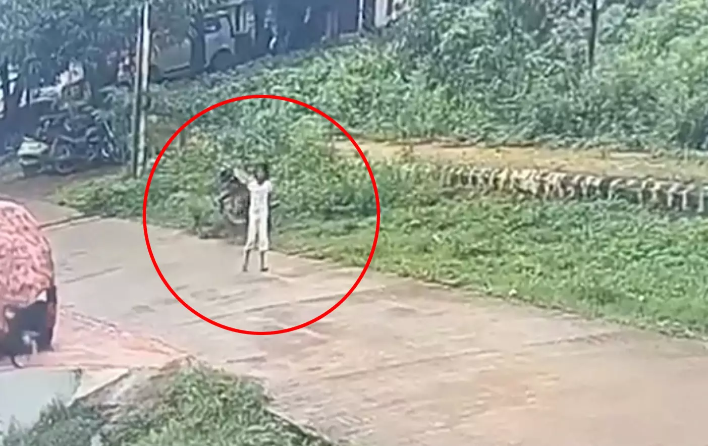 आवारा कुत्तों का आतंक LIVE वीडियो, बच्ची पर हमला आवारा कुत्तों का आतंक LIVE वीडियो, बच्ची पर हमला