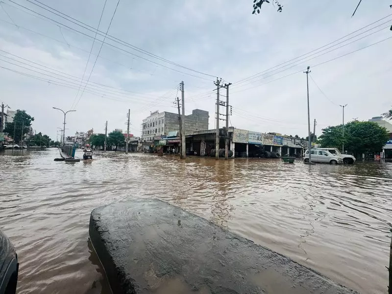Sirsa में बारिश से पानी भरा, किसान खुश, अच्छी फसल की उम्मीद Sirsa में बारिश से पानी भरा, किसान खुश, अच्छी फसल की उम्मीद