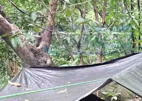 Jharkhand के बोकारो में 5 लाख रुपये के इनामी सब-जोनल नक्सल कमांडर को मार गिराया गया Jharkhand के बोकारो में 5 लाख रुपये के इनामी सब-जोनल नक्सल कमांडर को मार गिराया गया