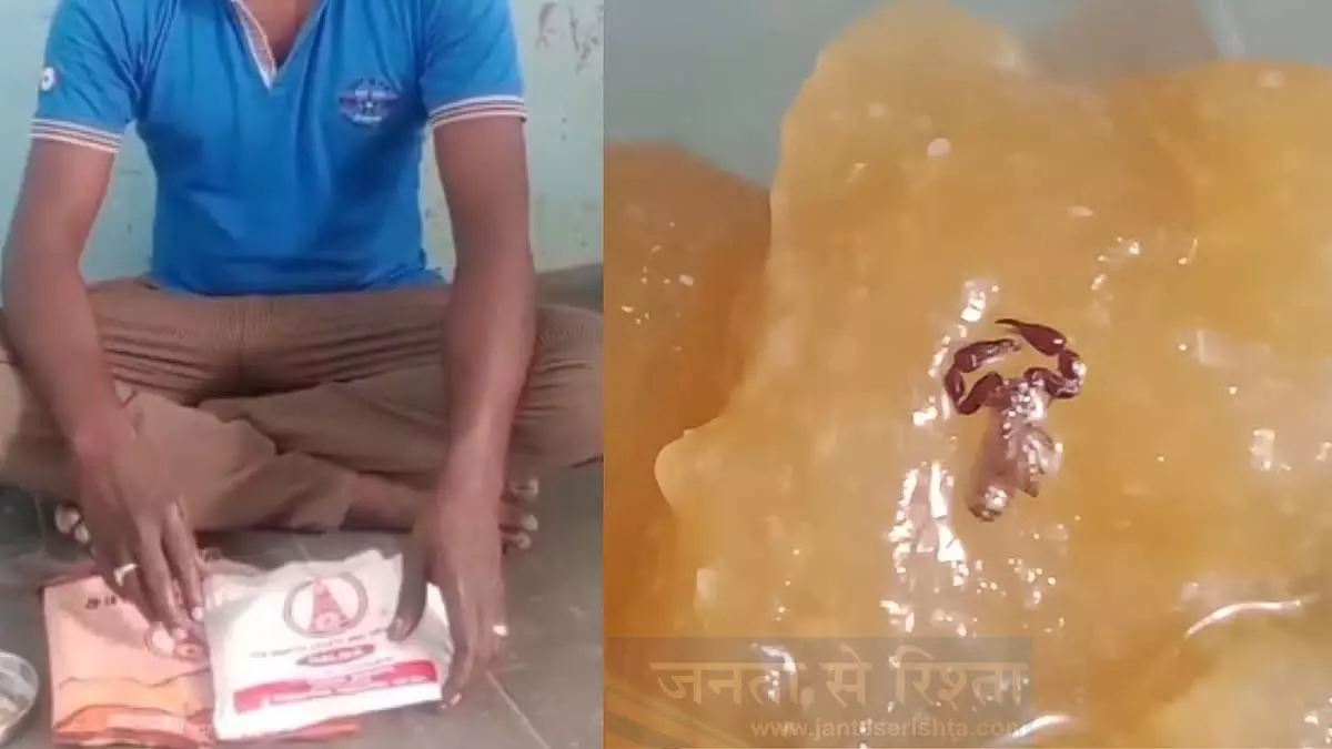 Tamil Nadu : बिच्छू मिला हलवे में, शांति स्वीट्स की ओर उठे सवाल Tamil Nadu : बिच्छू मिला हलवे में, शांति स्वीट्स की ओर उठे सवाल