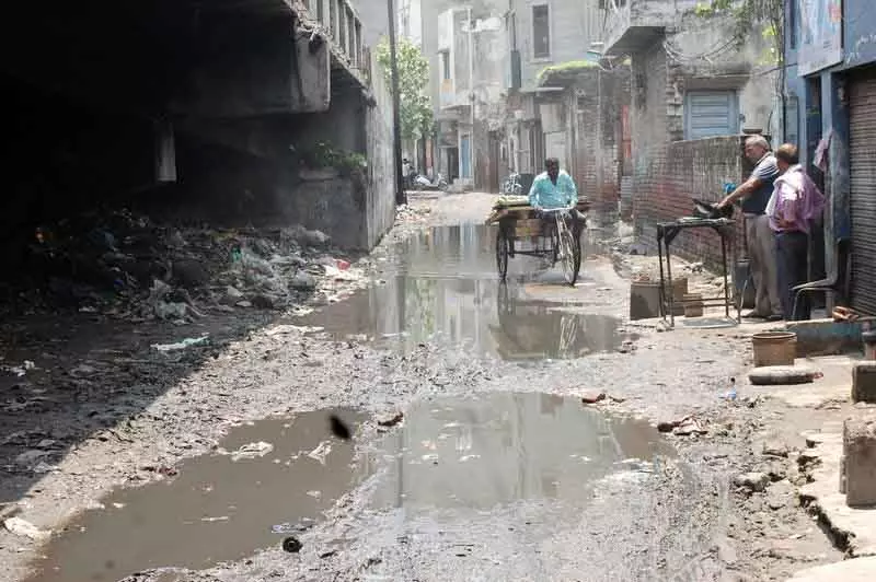 Amritsar में 51 संपत्तियों पर मच्छरों के लार्वा पाए गए, चालान जारी Amritsar में 51 संपत्तियों पर मच्छरों के लार्वा पाए गए, चालान जारी