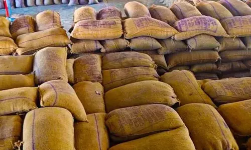 स्टॉक रखे धान गायब, 54 लाख रुपए का गबन
