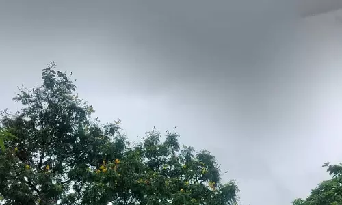 रायपुर में हुई बारिश, आज फिर तेज आंधी तूफान का अलर्ट रायपुर में हुई बारिश, आज फिर तेज आंधी तूफान का अलर्ट