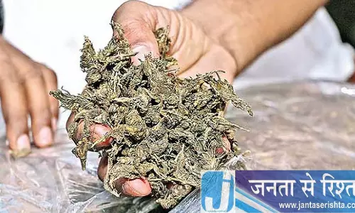 Indore : 2 लाख के गांजे के साथ एक व्यक्ति गिरफ्तार Indore : 2 लाख के गांजे के साथ एक व्यक्ति गिरफ्तार