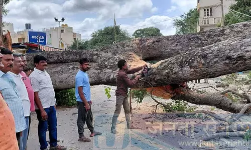 Karnataka : एक विशाल पेड़ गिर गया