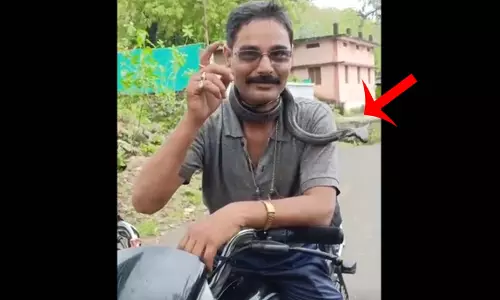 सर्प मित्र की दर्दनाक मौत...जरा ये डरावना वीडियो तो देखिए सर्प मित्र की दर्दनाक मौत...जरा ये डरावना वीडियो तो देखिए