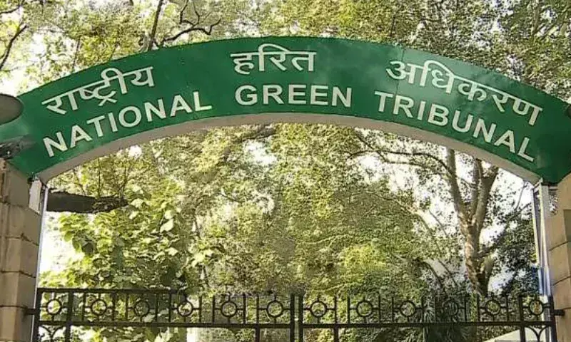 Assam SEIAA पर सुप्रीम कोर्ट के पर्यावरण दिशानिर्देशों के उल्लंघन का आरोप