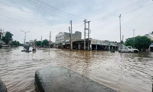 Sirsa में बारिश से पानी भरा, किसान खुश, अच्छी फसल की उम्मीद Sirsa में बारिश से पानी भरा, किसान खुश, अच्छी फसल की उम्मीद