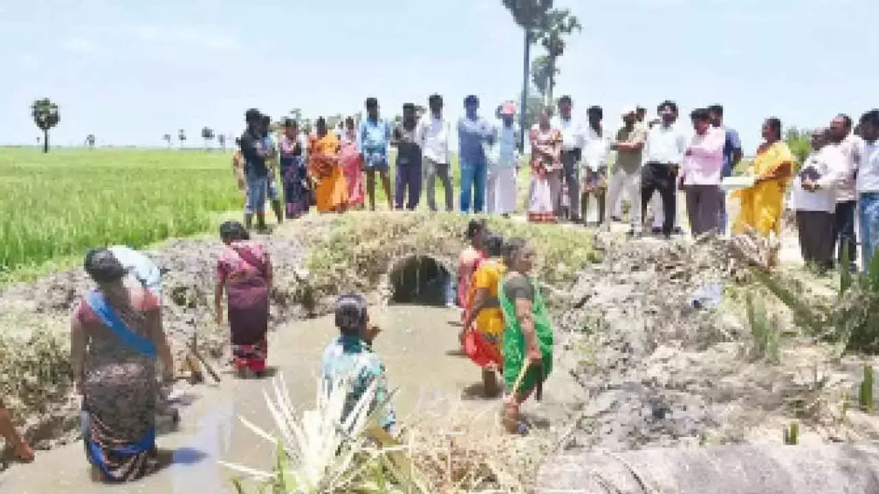 Andhra: कृषि श्रमिकों से कहा गया कि वे मनरेगा का लाभ उठाएं