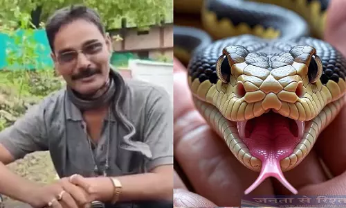 कोबरा के काटने से सांप बचाने वाले की मौत, गले में लटकाए हुए था सांप कोबरा के काटने से सांप बचाने वाले की मौत, गले में लटकाए हुए था सांप