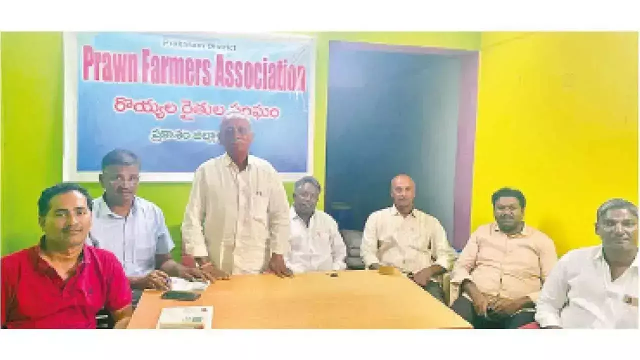 Andhra: झींगा किसानों ने बिजली और चारे की कीमतों में कटौती की मांग की